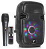 Enceinte portable 8" FENTON FT8LED