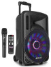 Sono Portable12" Fenton FT12LED