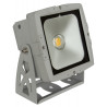 Projecteur étanche Briteq LDP COBWASH 50WW