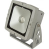 Projecteur étanche Briteq LDP COBWASH 60TC