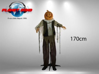 Location Citrouille d'Halloween animée 175 cm