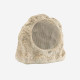Enceinte rocher IP66 100 V Audiophony STONE30
