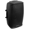 Enceinte amplifiée Gemini AS 2112P