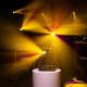 Lyre à led Spot Evolite EVO SPOT 200
