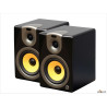 Enceintes de monitoring JBSystems AM50 ( la paire )